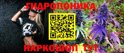 дживик Пенза