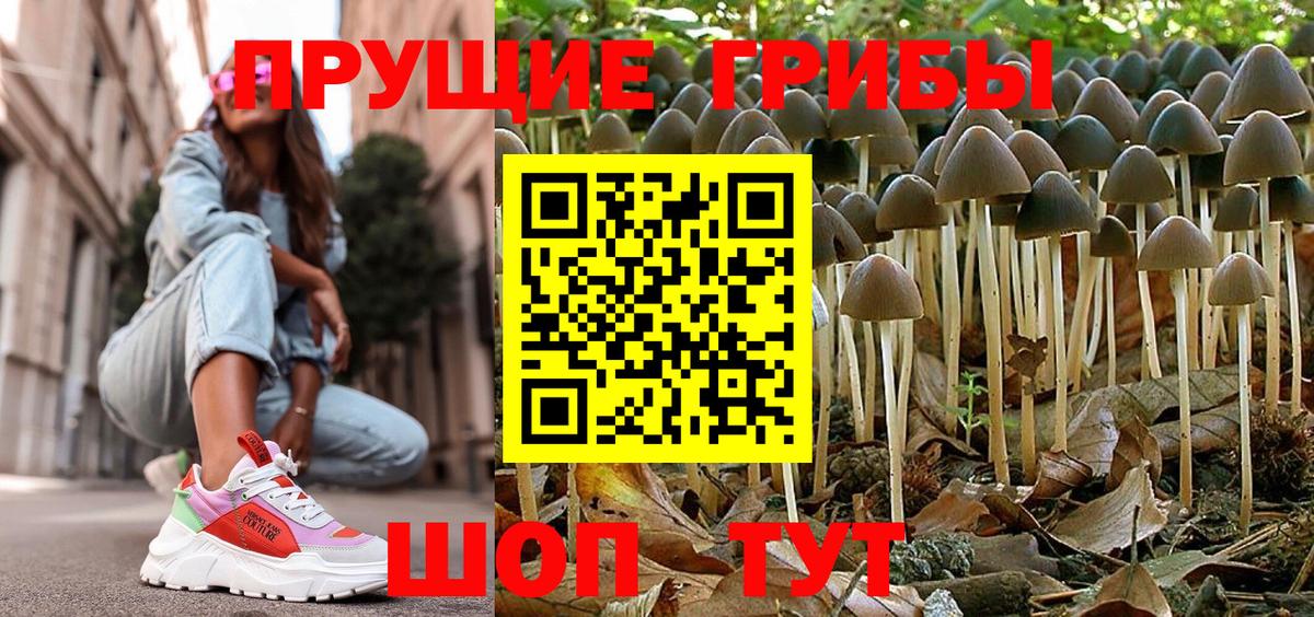 Барнаул  Псилоцибиновые грибы Psilocybe  Вход с VPN  Галлюциногенные грибы мицелий 