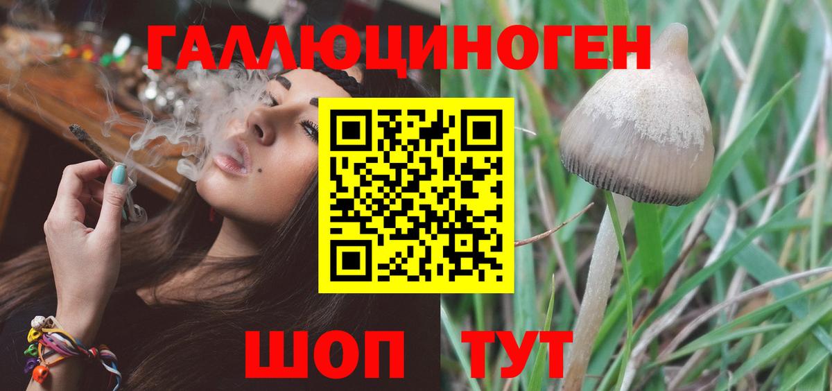 Галлюциногенные грибы мицелий Барнаул